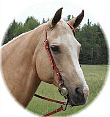 2200_importd4.jpg