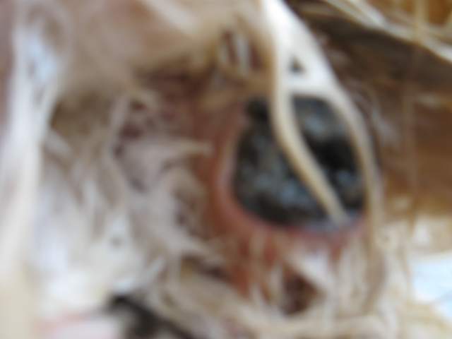 22062_img_0231.jpg