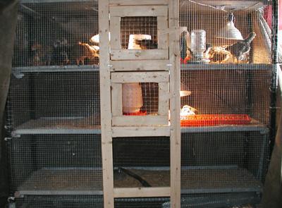 22072_condo_resized.jpg