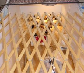 22075_chickbrooder022111_002.jpg