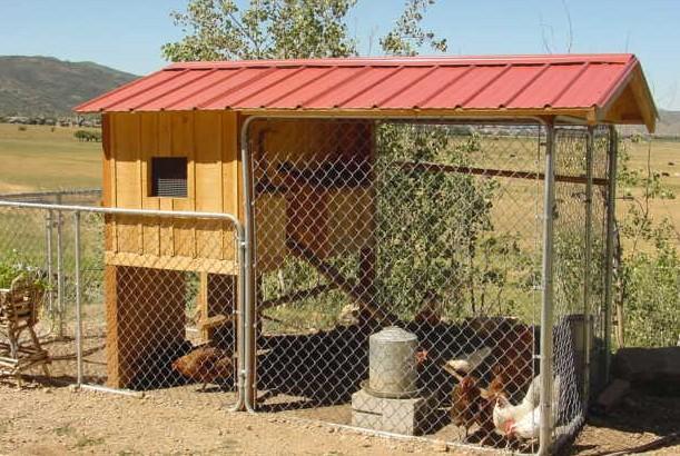 22075_newcoopandyard_002.jpg