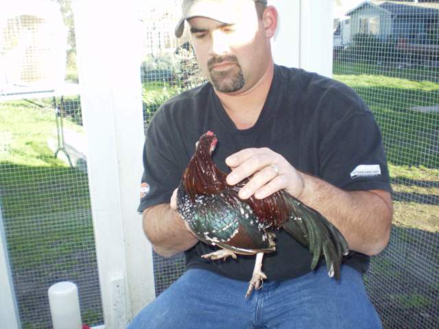 22111_kendra_and_her_chickens_023.jpg