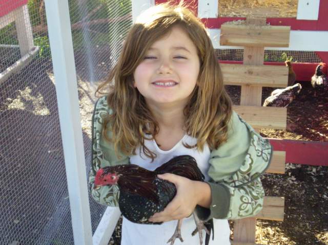 22111_kendra_and_her_chickens_028.jpg