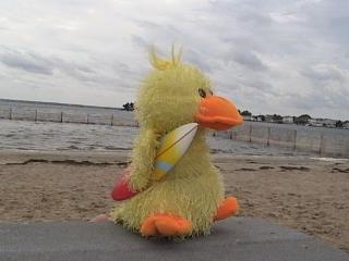 22153_dvc01017.jpg