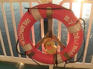 22153_dvc01107.jpg