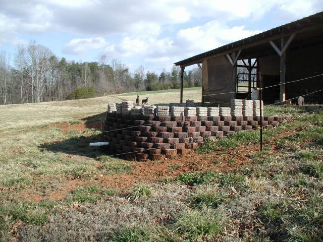 22156_duck_pool_2-18-09_002.jpg