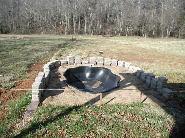 22156_duck_pool_2-18-09_003.jpg
