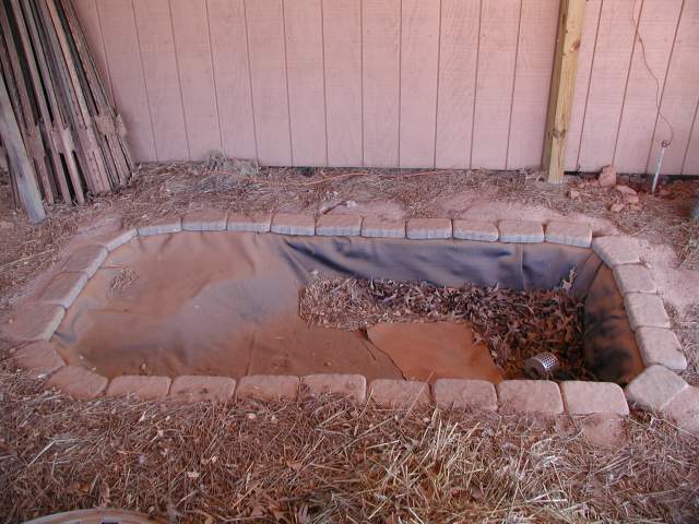 22156_duck_pool_2-18-09_006.jpg