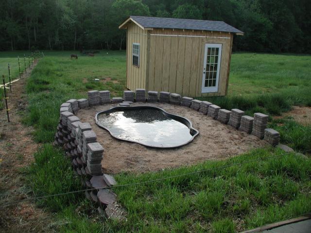 Duck Pond/Pool suggestions | BackYard Chickens