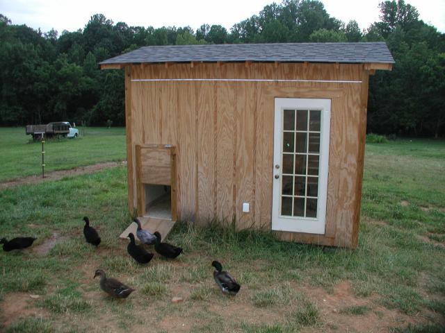 22156_picture_019.jpg