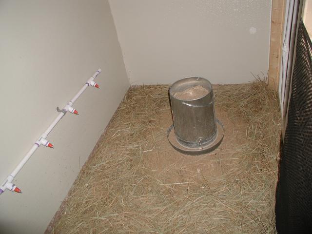 22156_picture_025.jpg