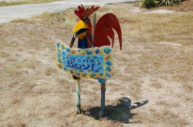 22179_rooster.jpg