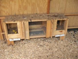 22249_nest_boxes.jpg