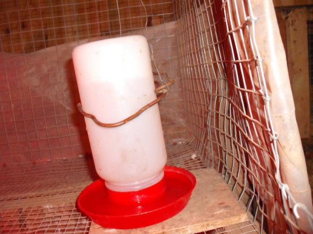 22249_waterer_wire.jpg