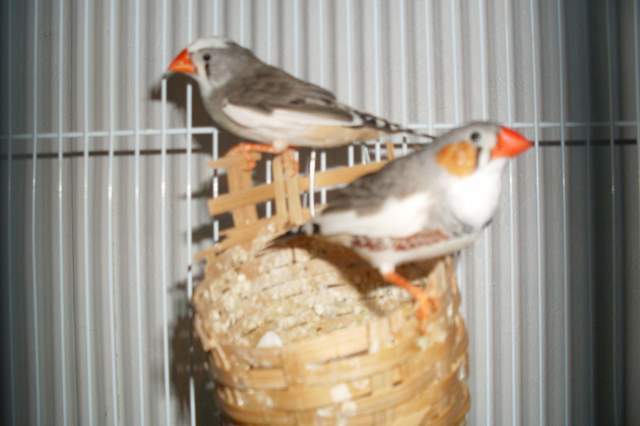 22254_006.jpg