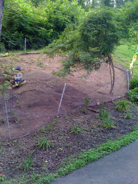 22276_chicken_and_coop_007.jpg