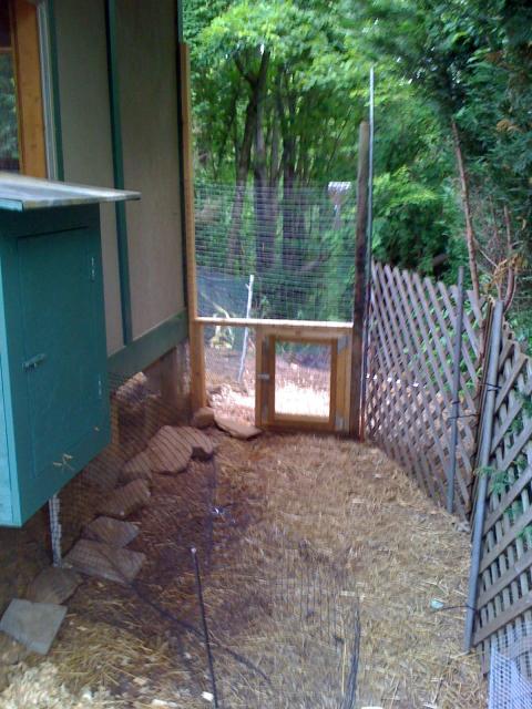 22276_chicken_and_coop_009.jpg