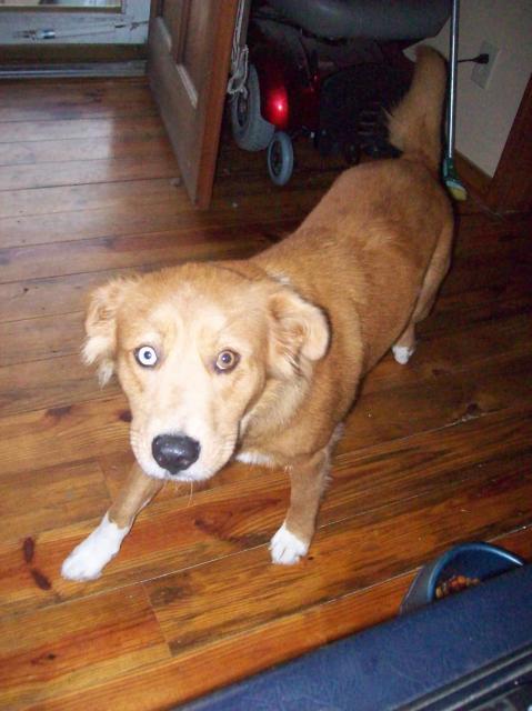 22333_100_2001.jpg