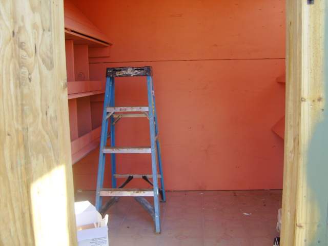 22406_chickens_004.jpg