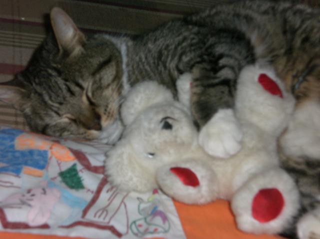 22412_cimg0207.jpg