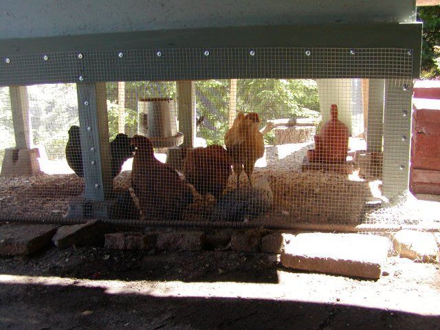 2245_011.jpg