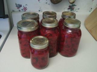 22467_pickles.jpg