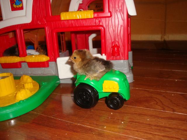 22469_may_09_116.jpg