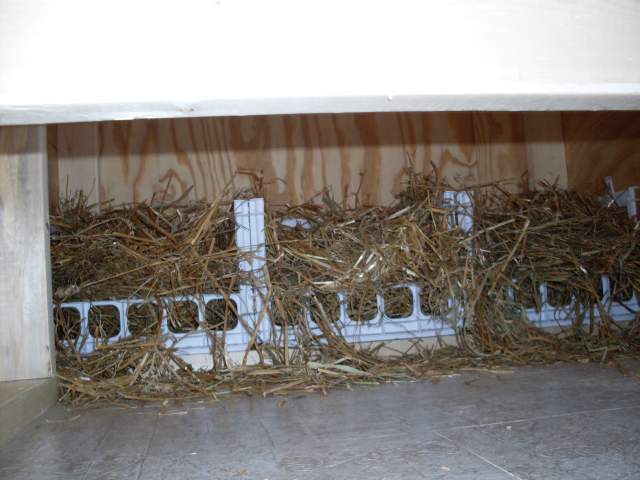 22485_9_nesting_boxes_made_of_milk_crates.jpg