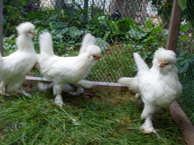 22501_023.jpg