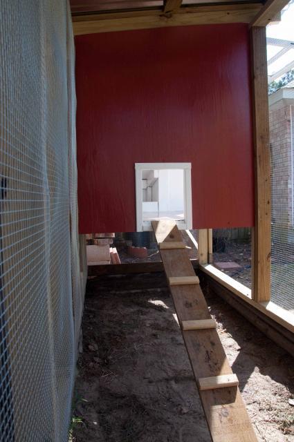 22514_101101coop_build13.jpg