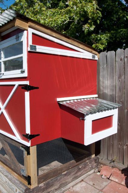 22514_101101coop_build4.jpg