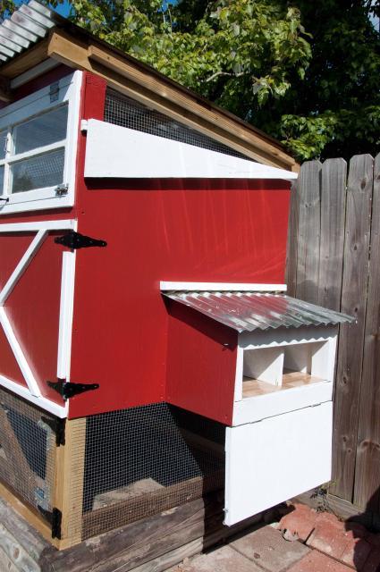 22514_101101coop_build5.jpg