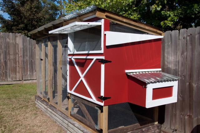 22514_101101coop_build8.jpg