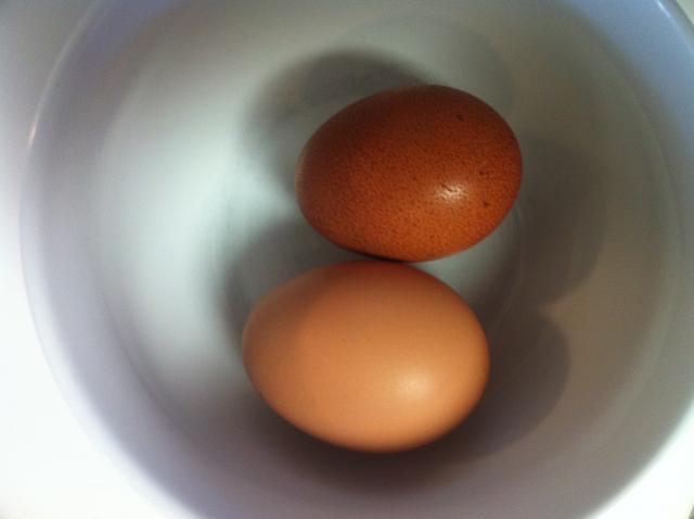 22514_eggs.jpg
