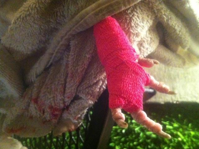 22514_wrapped.jpg