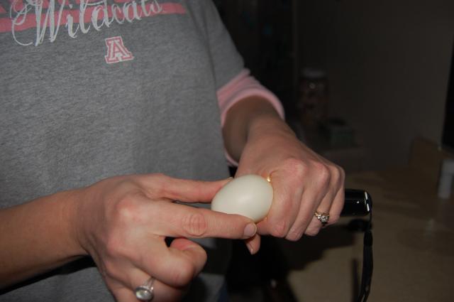 22614_chickens0908_106.jpg