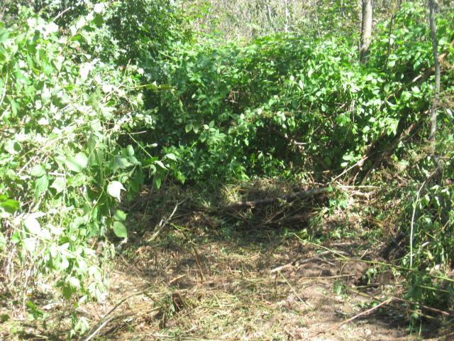 22780_backroad_002.jpg
