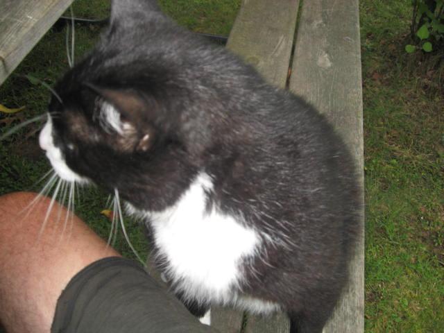 22780_btwo_008.jpg