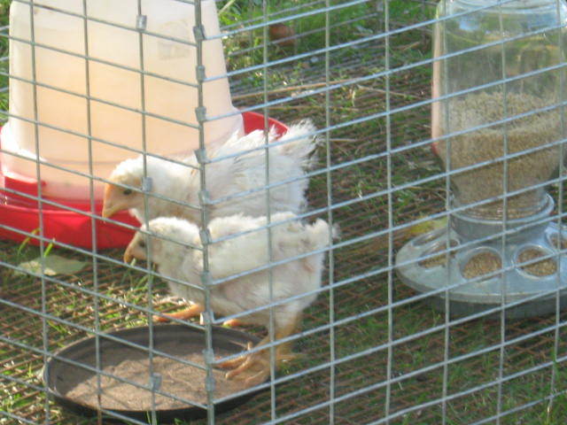 22780_buster_001.jpg