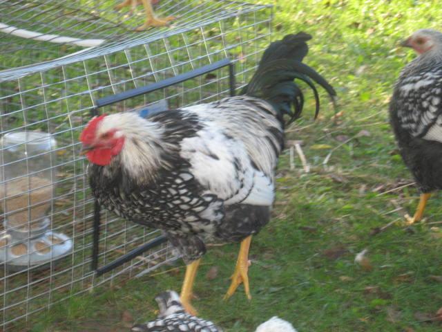 22780_buster_004.jpg
