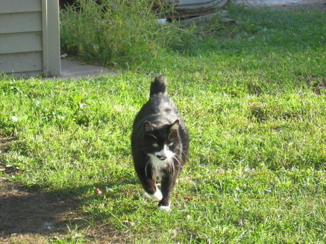 22780_buster_005.jpg
