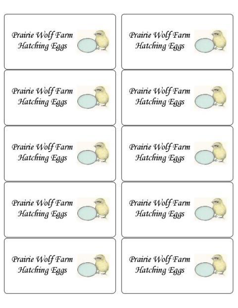 22798_hatching_egg_label.jpg