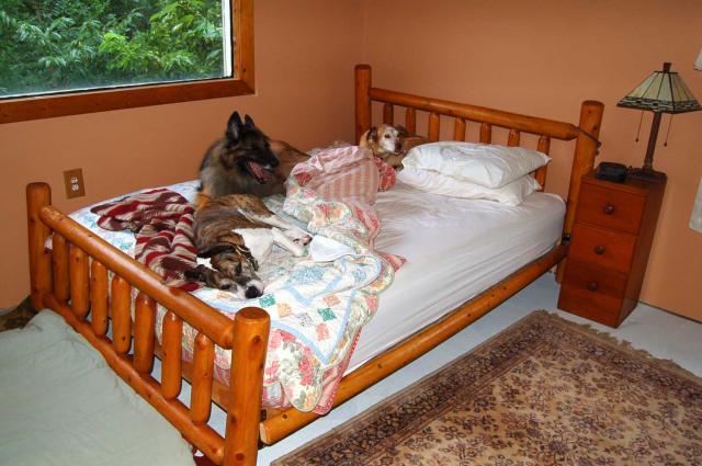 22798_how_i_try_to_sleep.jpg