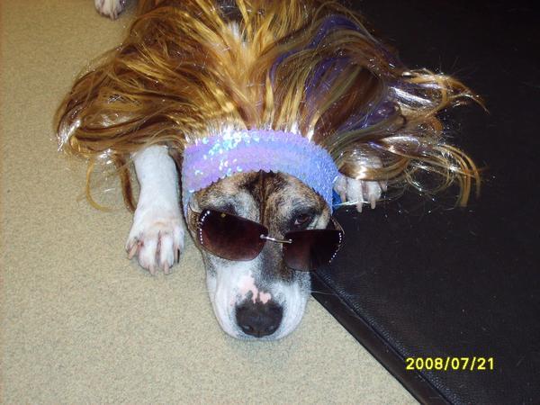 22798_mica_wig.jpg