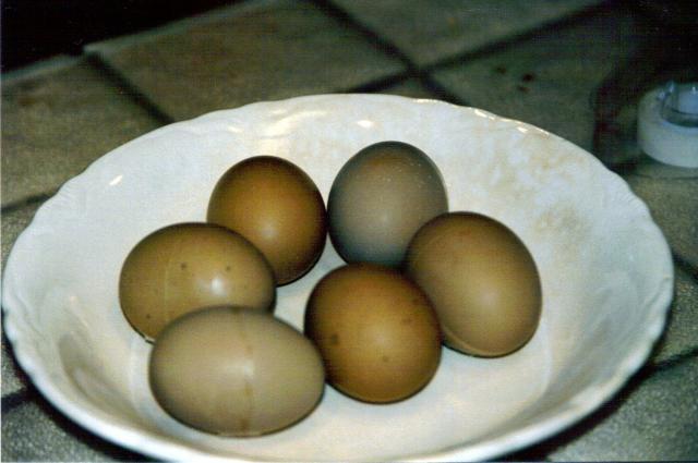 22798_olive_egger_eggs_2000.jpg