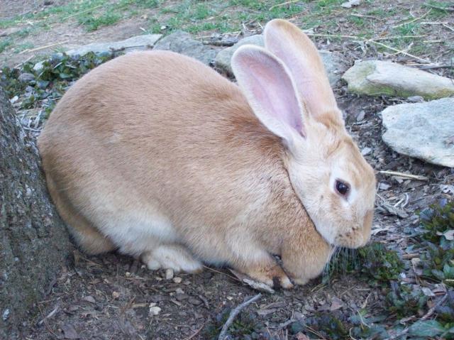 22826_100_1192.jpg