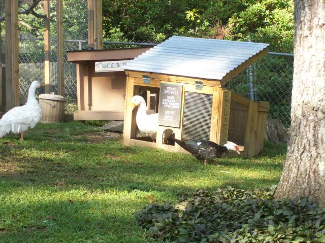 22826_100_1566.jpg
