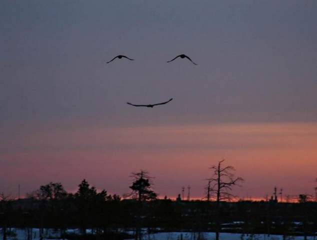 22928_smile.jpg