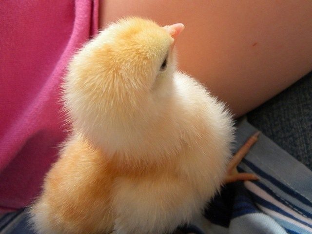 23023_zzzz.jpg