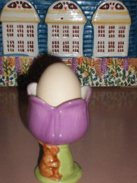 23029_our_first_egg.jpg